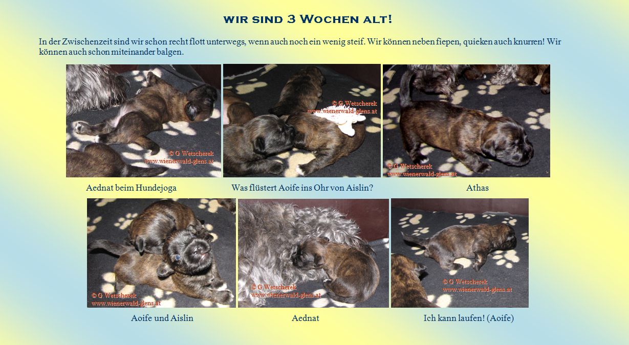 Unsere 3. Woche